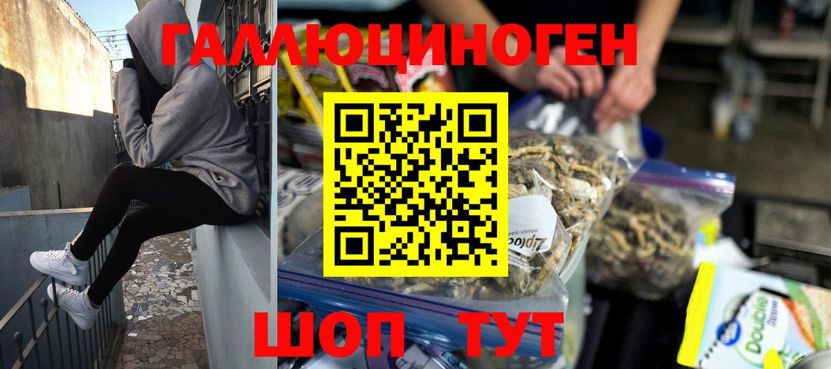 Псилоцибиновые грибы GOLDEN TEACHER Чебаркуль